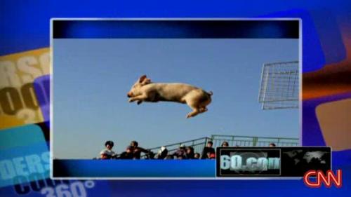 Miss Piggy flies through the air during a pig contest